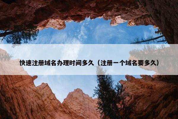 快速注册域名办理时间多久（注册一个域名要多久）