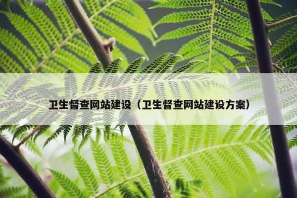 卫生督查网站建设（卫生督查网站建设方案）