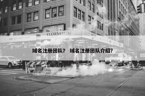 域名注册团队？ 域名注册团队介绍？