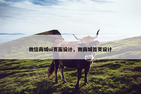 微信商城ui页面设计，微商城首页设计