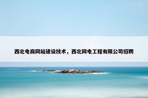 西北电商网站建设技术，西北网电工程有限公司招聘