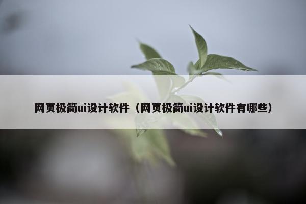 网页极简ui设计软件（网页极简ui设计软件有哪些）