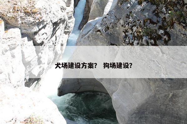 犬场建设方案？ 狗场建设？
