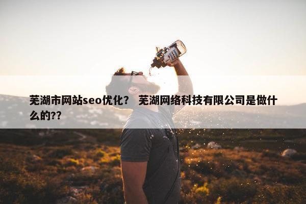芜湖市网站seo优化？ 芜湖网络科技有限公司是做什么的?？