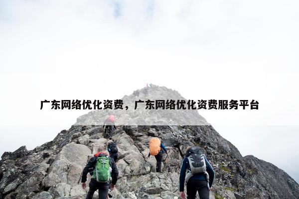 广东网络优化资费，广东网络优化资费服务平台
