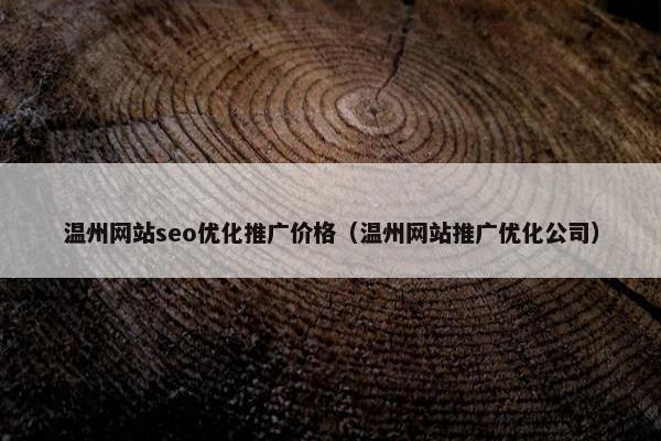 温州网站seo优化推广价格（温州网站推广优化公司）
