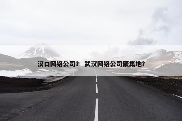 汉口网络公司？ 武汉网络公司聚集地？