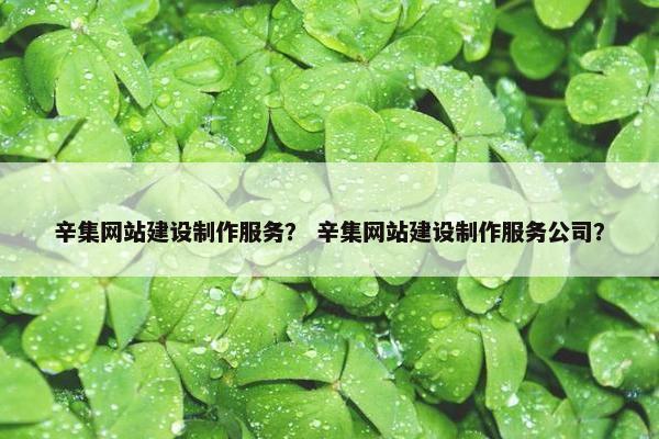 辛集网站建设制作服务？ 辛集网站建设制作服务公司？