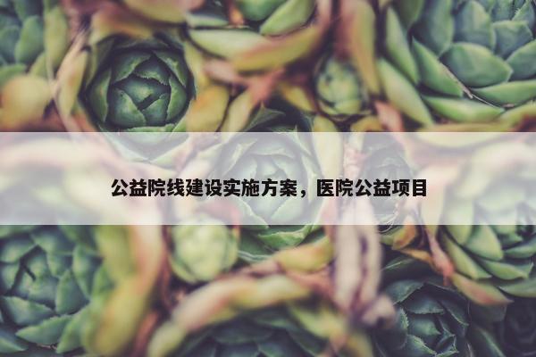 公益院线建设实施方案，医院公益项目