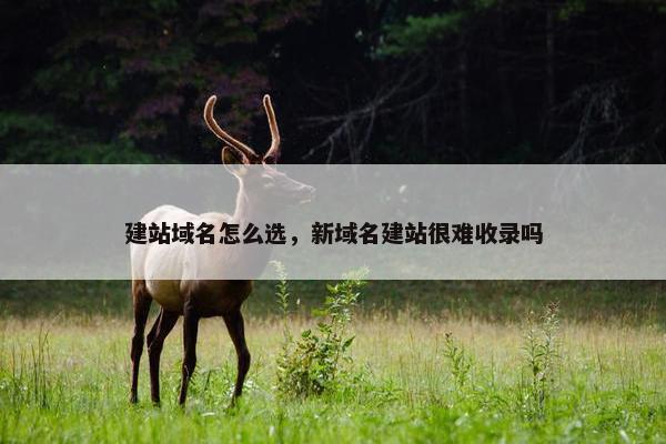 建站域名怎么选，新域名建站很难收录吗