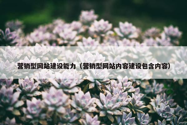 营销型网站建设能力（营销型网站内容建设包含内容）