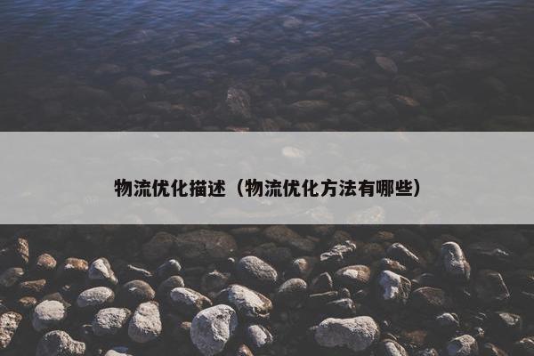 物流优化描述（物流优化方法有哪些）