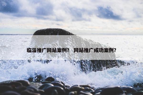 临淄推广网站案例？ 网站推广成功案例？