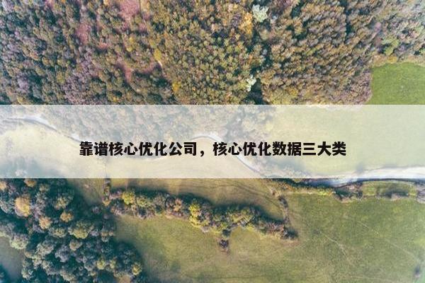 靠谱核心优化公司，核心优化数据三大类