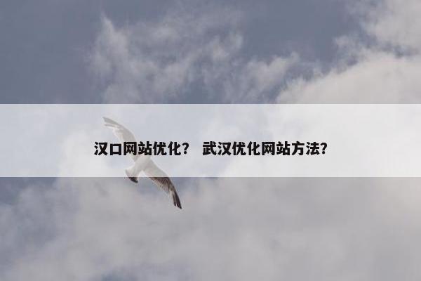 汉口网站优化？ 武汉优化网站方法？