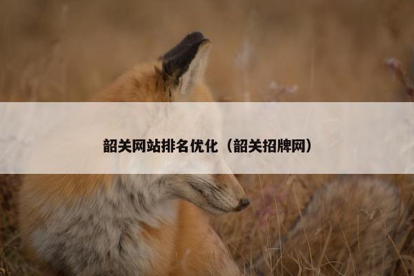 韶关网站排名优化（韶关招牌网）