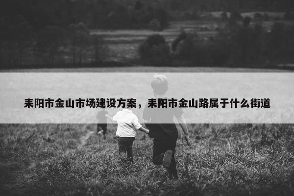 耒阳市金山市场建设方案，耒阳市金山路属于什么街道