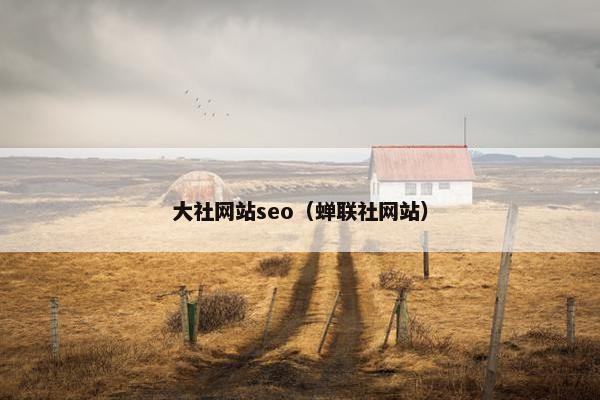 大社网站seo（蝉联社网站）