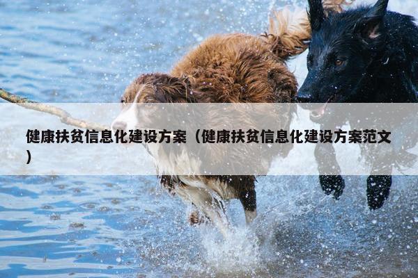 健康扶贫信息化建设方案（健康扶贫信息化建设方案范文）