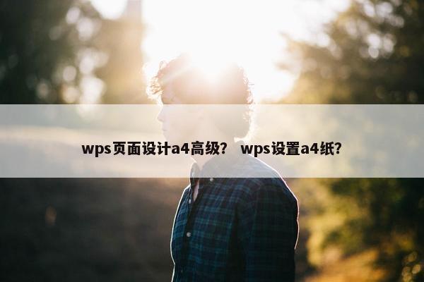 wps页面设计a4高级？ wps设置a4纸？