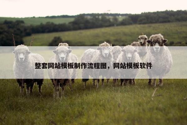 整套网站模板制作流程图，网站模板软件
