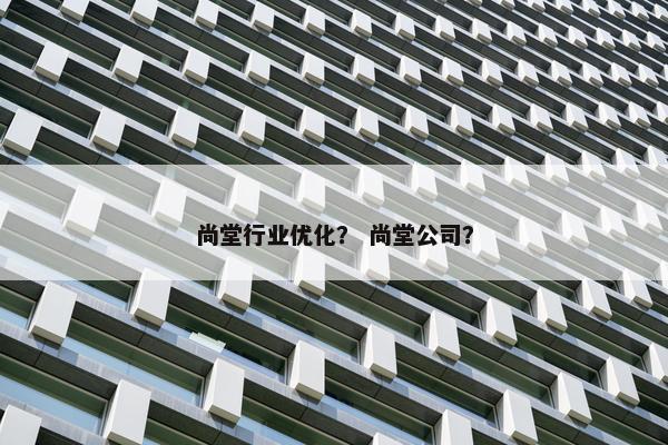 尚堂行业优化？ 尚堂公司？