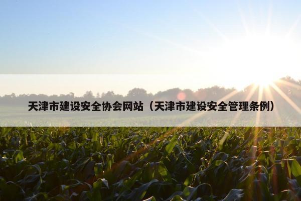 天津市建设安全协会网站（天津市建设安全管理条例）
