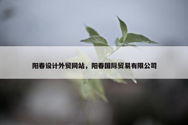 阳春设计外贸网站，阳春国际贸易有限公司
