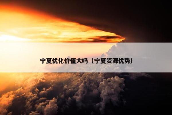 宁夏优化价值大吗（宁夏资源优势）