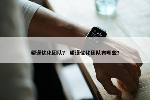 望谟优化团队？ 望谟优化团队有哪些？