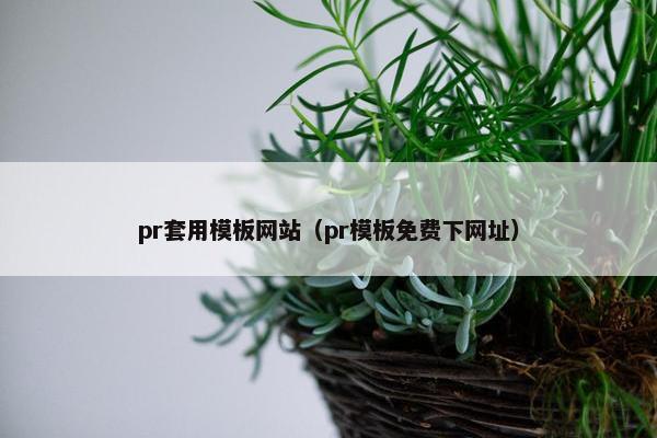 pr套用模板网站（pr模板免费下网址）