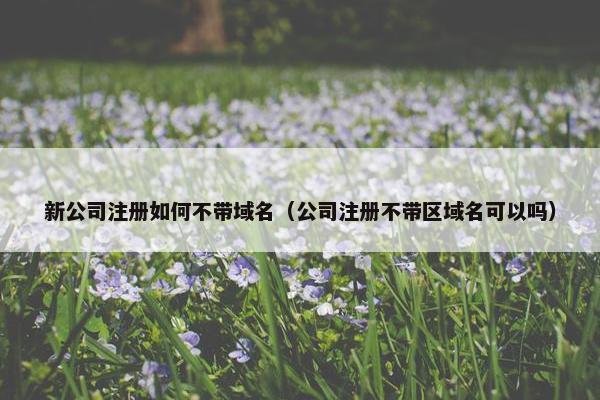 新公司注册如何不带域名（公司注册不带区域名可以吗）