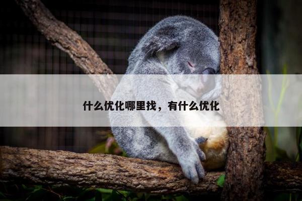 什么优化哪里找，有什么优化