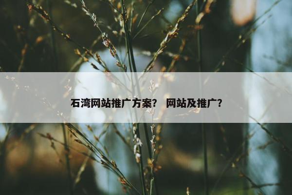 石湾网站推广方案？ 网站及推广？