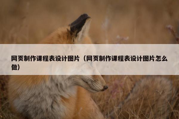 网页制作课程表设计图片（网页制作课程表设计图片怎么做）