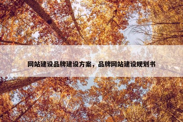 网站建设品牌建设方案，品牌网站建设规划书