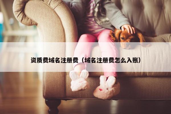 资质费域名注册费（域名注册费怎么入账）