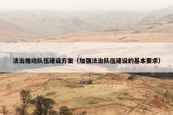 法治推动队伍建设方案（加强法治队伍建设的基本要求）