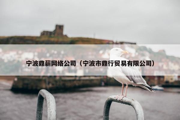 宁波鼎薪网络公司（宁波市鼎行贸易有限公司）