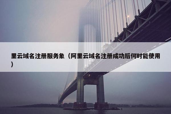 里云域名注册服务象（阿里云域名注册成功后何时能使用）