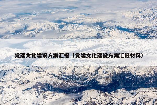 党建文化建设方案汇报（党建文化建设方案汇报材料）