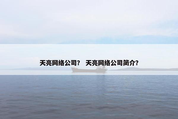 天亮网络公司？ 天亮网络公司简介？