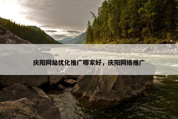 庆阳网站优化推广哪家好，庆阳网络推广