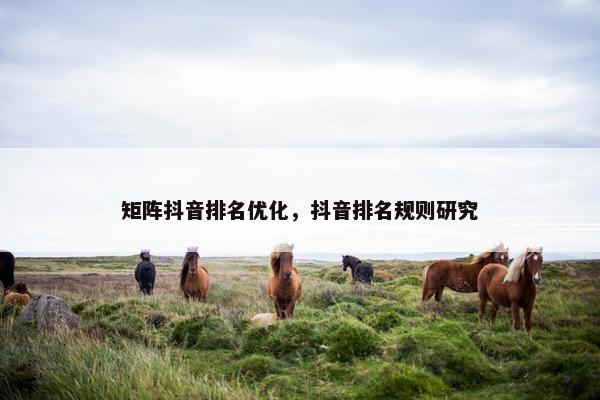 矩阵抖音排名优化，抖音排名规则研究