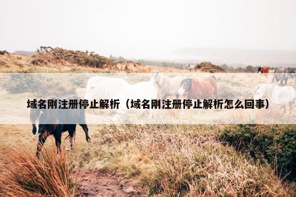 域名刚注册停止解析（域名刚注册停止解析怎么回事）