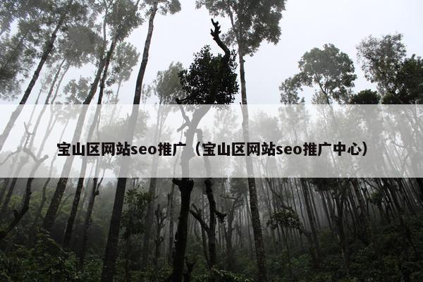 宝山区网站seo推广（宝山区网站seo推广中心）