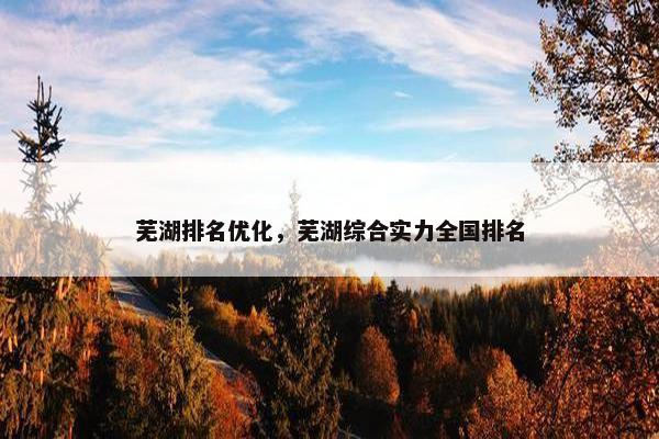 芜湖排名优化，芜湖综合实力全国排名