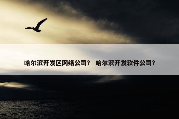 哈尔滨开发区网络公司？ 哈尔滨开发软件公司？