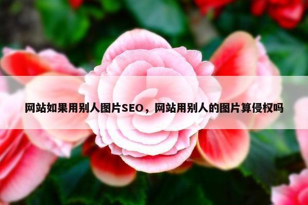网站如果用别人图片SEO，网站用别人的图片算侵权吗