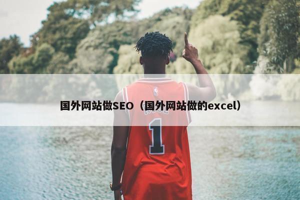 国外网站做SEO（国外网站做的excel）